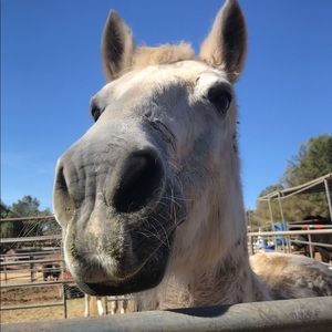 Meet your Posher, Dara